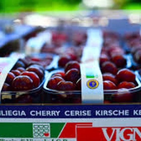 Ciliegie di Vignola IGP